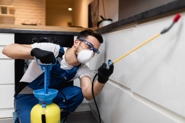 Best Exterminator Services  in Lmdale, PA
