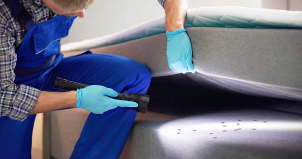 Best Cockroach Control Services  in Lmdale, PA